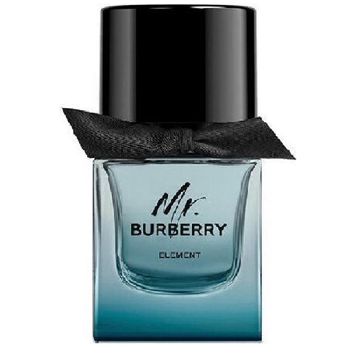 Mr Burberry Element - 2020