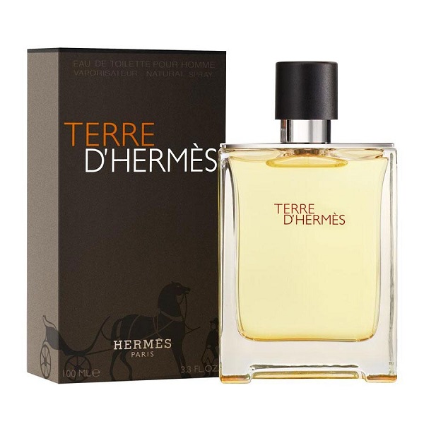 Terre D'Hermes 100ml Eau de Toilette (EDT) by Hermès